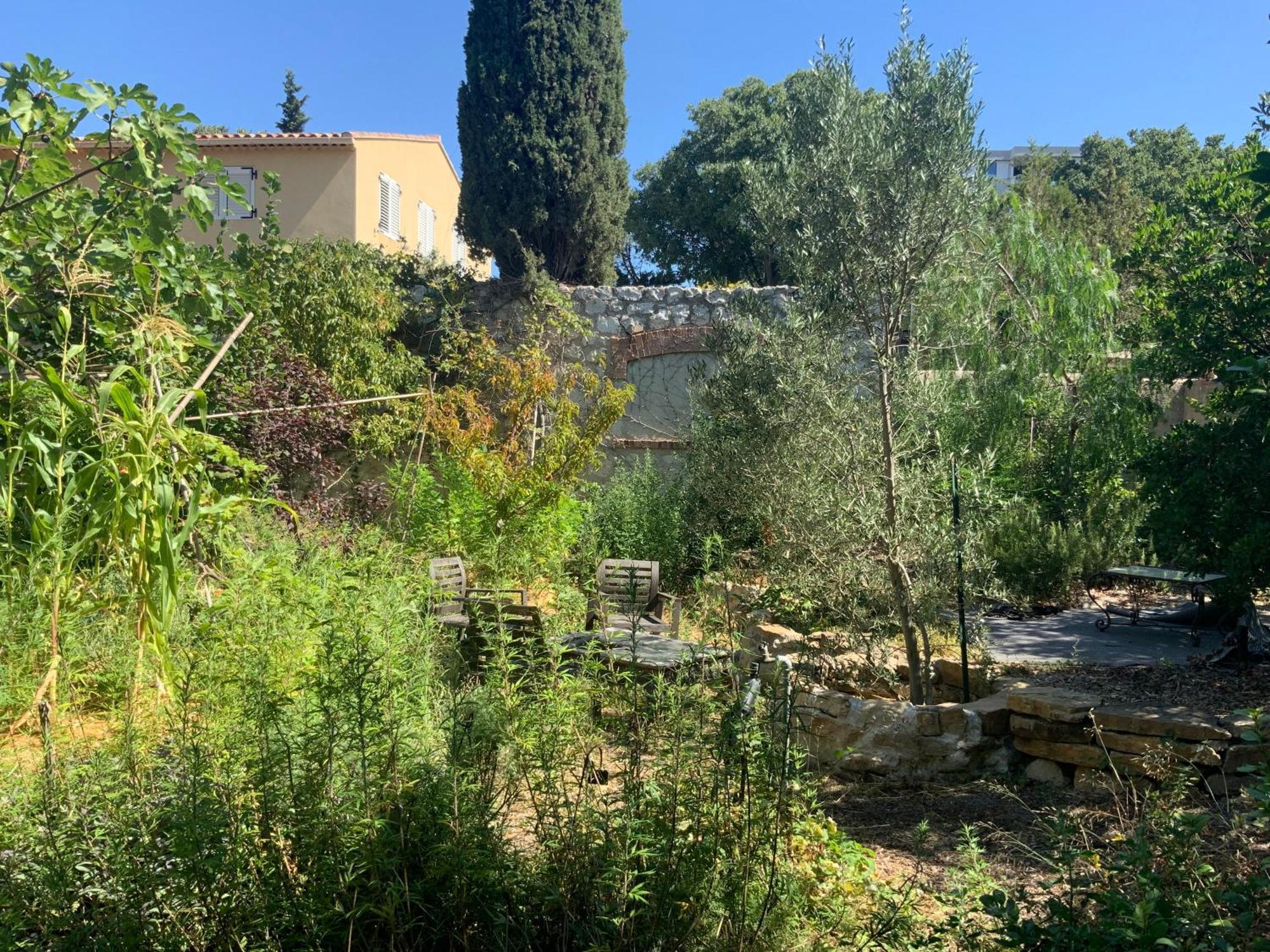 Ginkgo Bed and Breakfast Marseille Exteriör bild